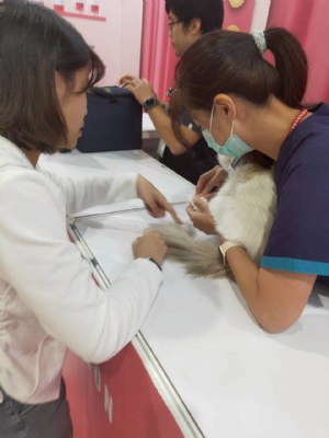 韓國(guó)喵美所