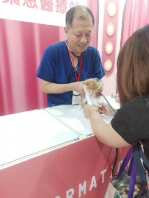 韓國(guó)喵美所